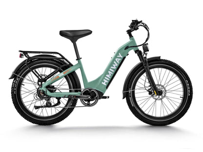 Himiway D5 ST(Zebra ST) / All-terrain Electric Fat Bike - HMW-D5-PW-ST-US-02