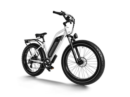 Himiway D3(Cruiser) / Long Range Fat Tire Electric Bike - HIMIWAY-CRUISER-05