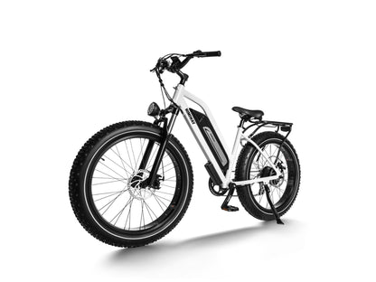 Himiway D3(Cruiser) / Long Range Fat Tire Electric Bike - HIMIWAY-CRUISER-05