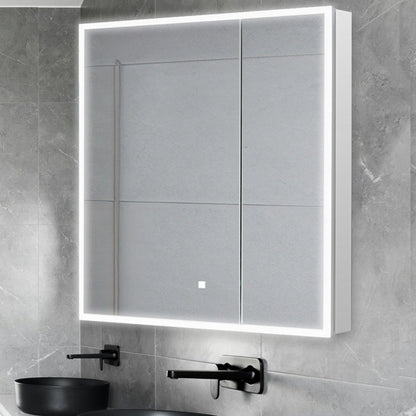 Aquadom Edge Royale 30" x 32" LED Lighted Medicine Cabinet With Defogger, Integrated LED 3X Magnifying Mirror, 8mm Clear Adjustable Glass Shelves and Electrical Outlet With USB - ER-3032-N