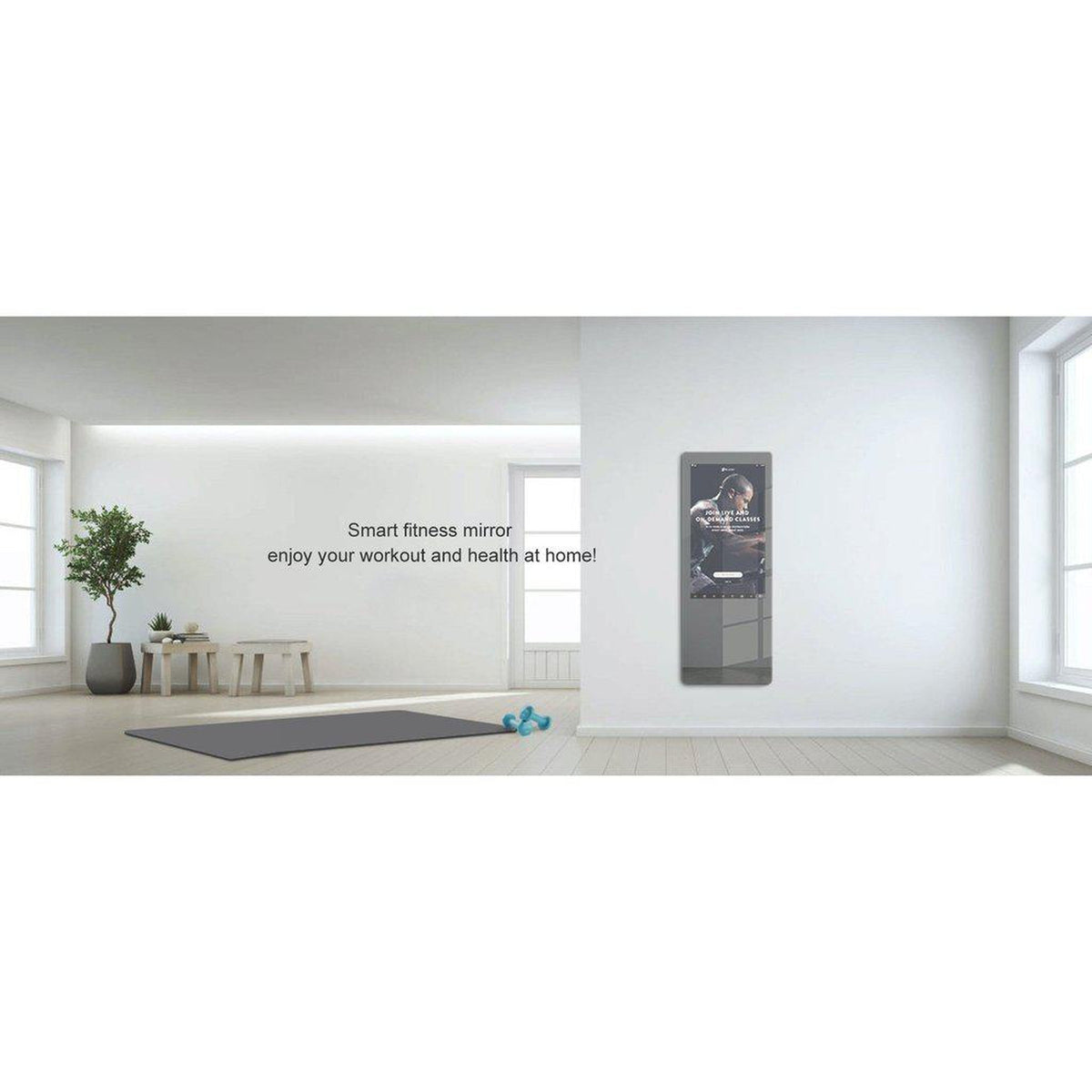 Aquadom Energy 24" X 71" Smart Fitness Mirror With 5MP HD Camera and Body Fat Scale - NRG-2471-HD-BFS
