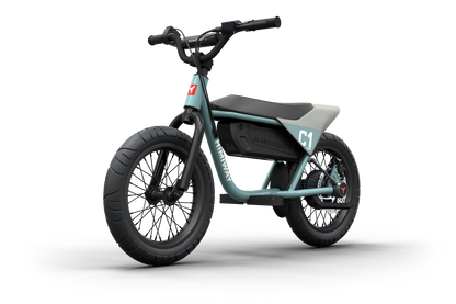Himiway C1 Perfect Gift Kids eBike - H-C1-BLUE