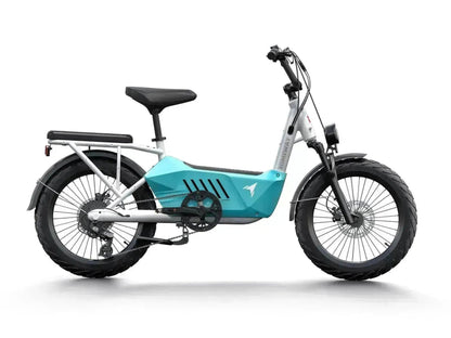 Himiway C3 / Cargo Ebike - HMW-C3-BU-US