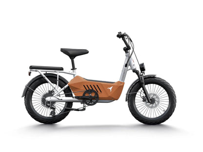 Himiway C3 / Cargo Ebike - HMW-C3-BU-US