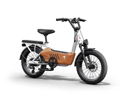 Himiway C3 / Cargo Ebike - HMW-C3-BU-US