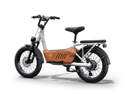 Himiway C3 / Cargo Ebike - HMW-C3-BU-US