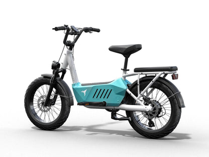Himiway C3 / Cargo Ebike - HMW-C3-BU-US