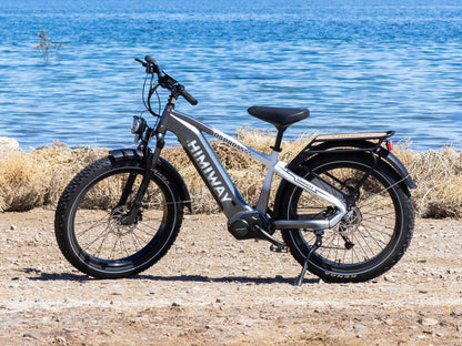 Himiway D5 Pro / All-terrain Electric Fat Bike - HMW-D5PRO-SO-GY-US