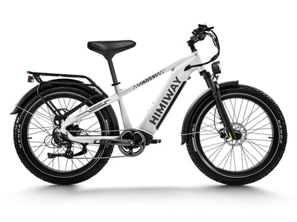 Himiway D5(Zebra) / All-terrain Electric Fat Bike - HMW-D5-PW-SO-US