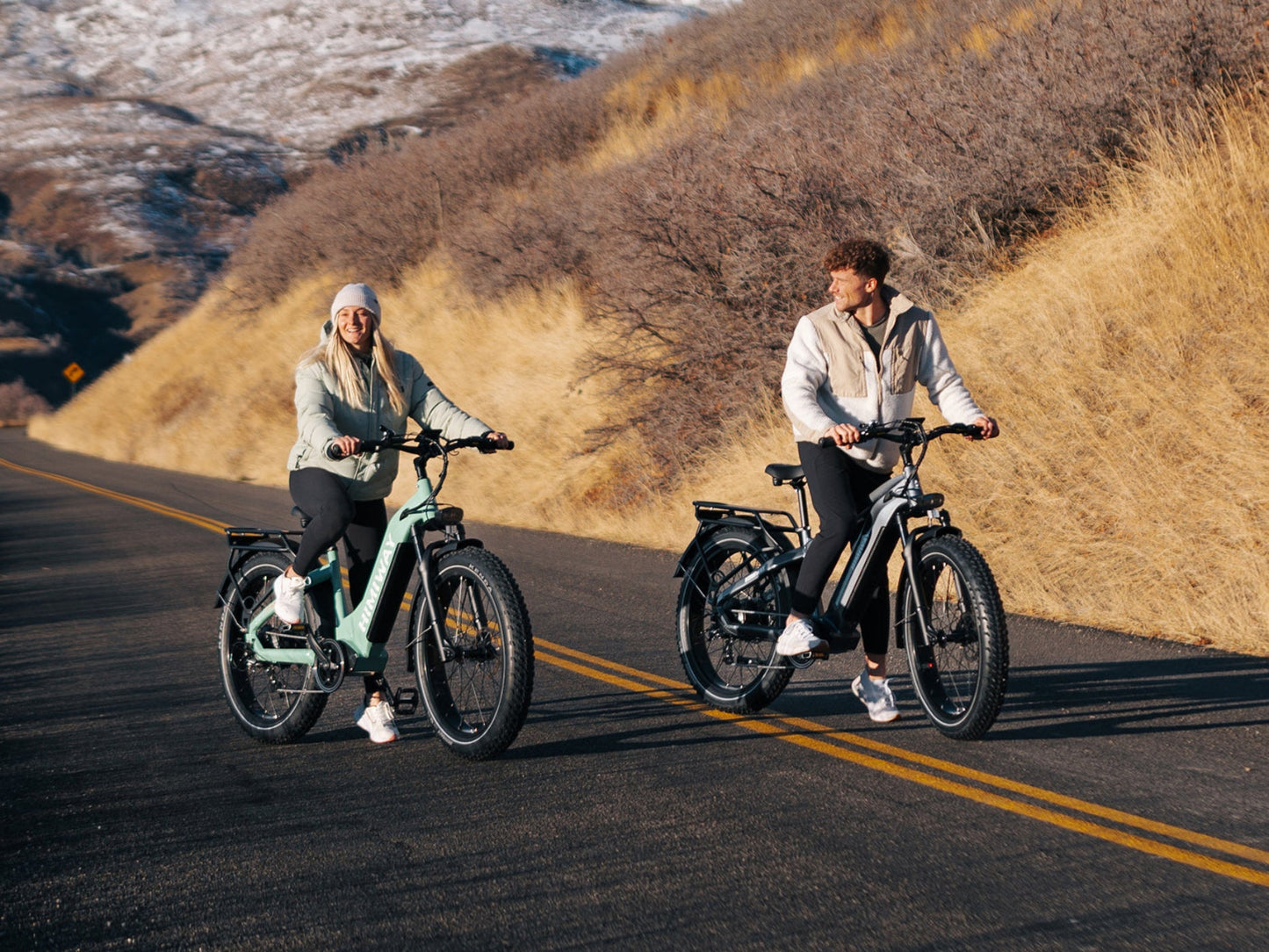 Himiway D5 ST(Zebra ST) / All-terrain Electric Fat Bike - HMW-D5-PW-ST-US-02