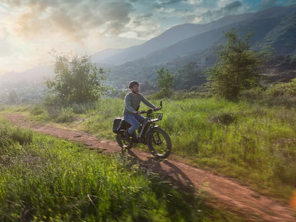 Himiway D5(Zebra) / All-terrain Electric Fat Bike - HMW-D5-PW-SO-US