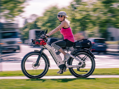 Himiway D5 ST(Zebra ST) / All-terrain Electric Fat Bike - HMW-D5-PW-ST-US-02