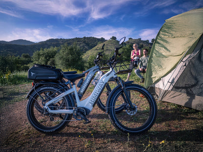 Himiway D5(Zebra) / All-terrain Electric Fat Bike - HMW-D5-PW-SO-US