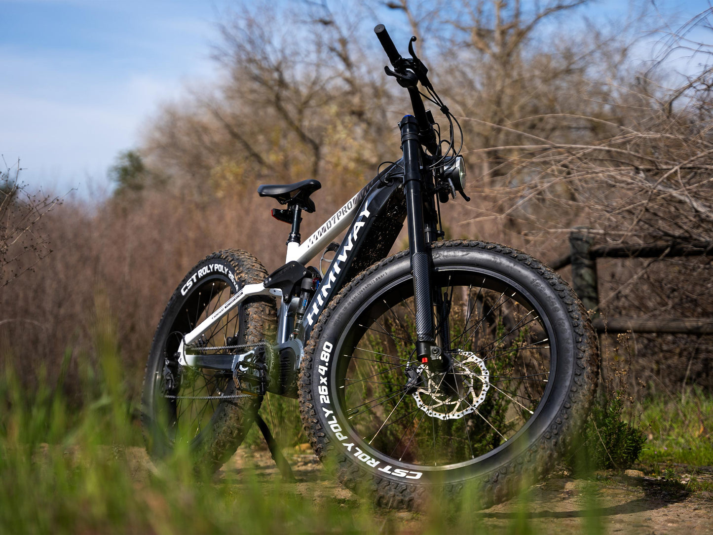 Himiway D7 Pro Mountain eBike - HMW-D7PRO-PG-US