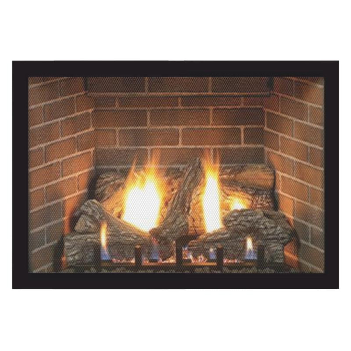 Empire Tahoe Premium 48" Direct Vent Gas Fireplace | DVP48FP - DVP48FP30N