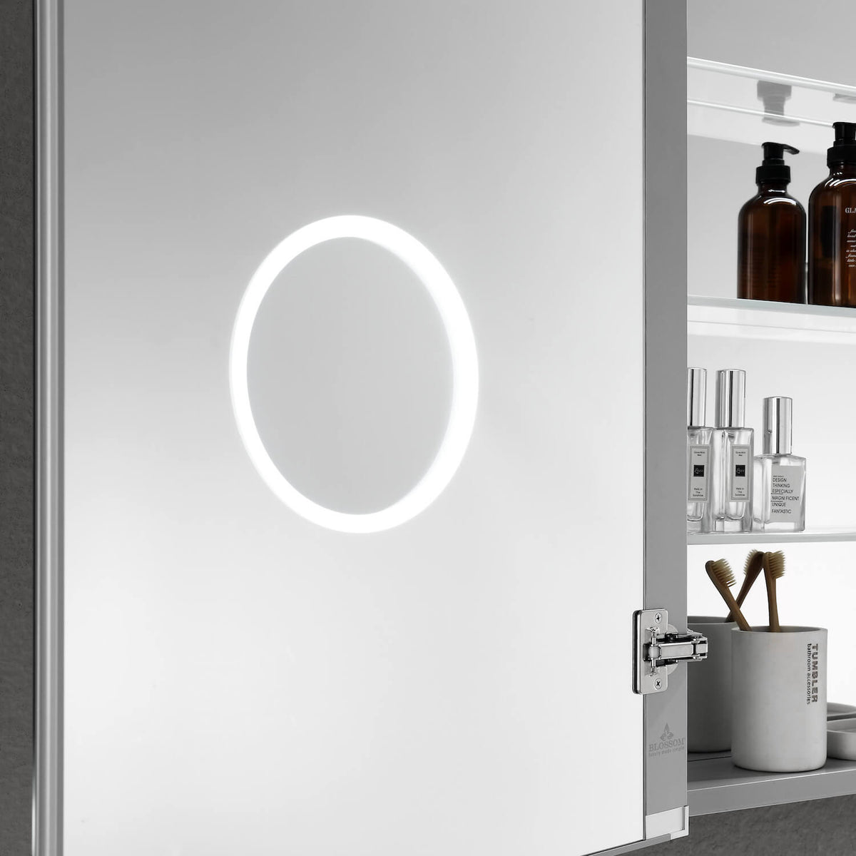 Blossom Asta – 24 Inches LED Medicine Cabinet - MCL2 2432L - Backyard Provider