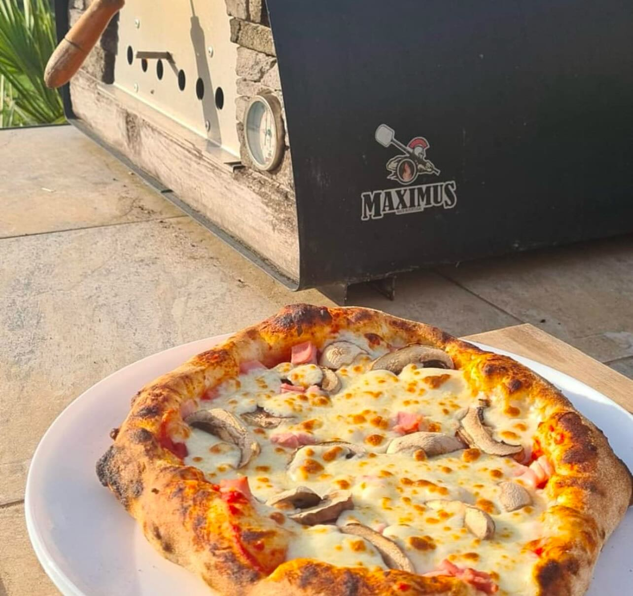 MAXIMUSMOBILE_corner_withpizza