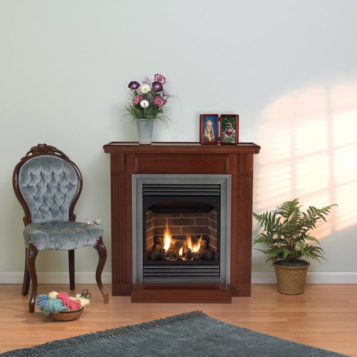 Empire Vail Premium 24" Vent Free Gas Fireplace - VFP24FP30L10N