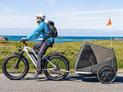 Himiway D3 ST(Cruiser ST) / All Terrain Electric Bike - CRUISER-STEP-THRU-05