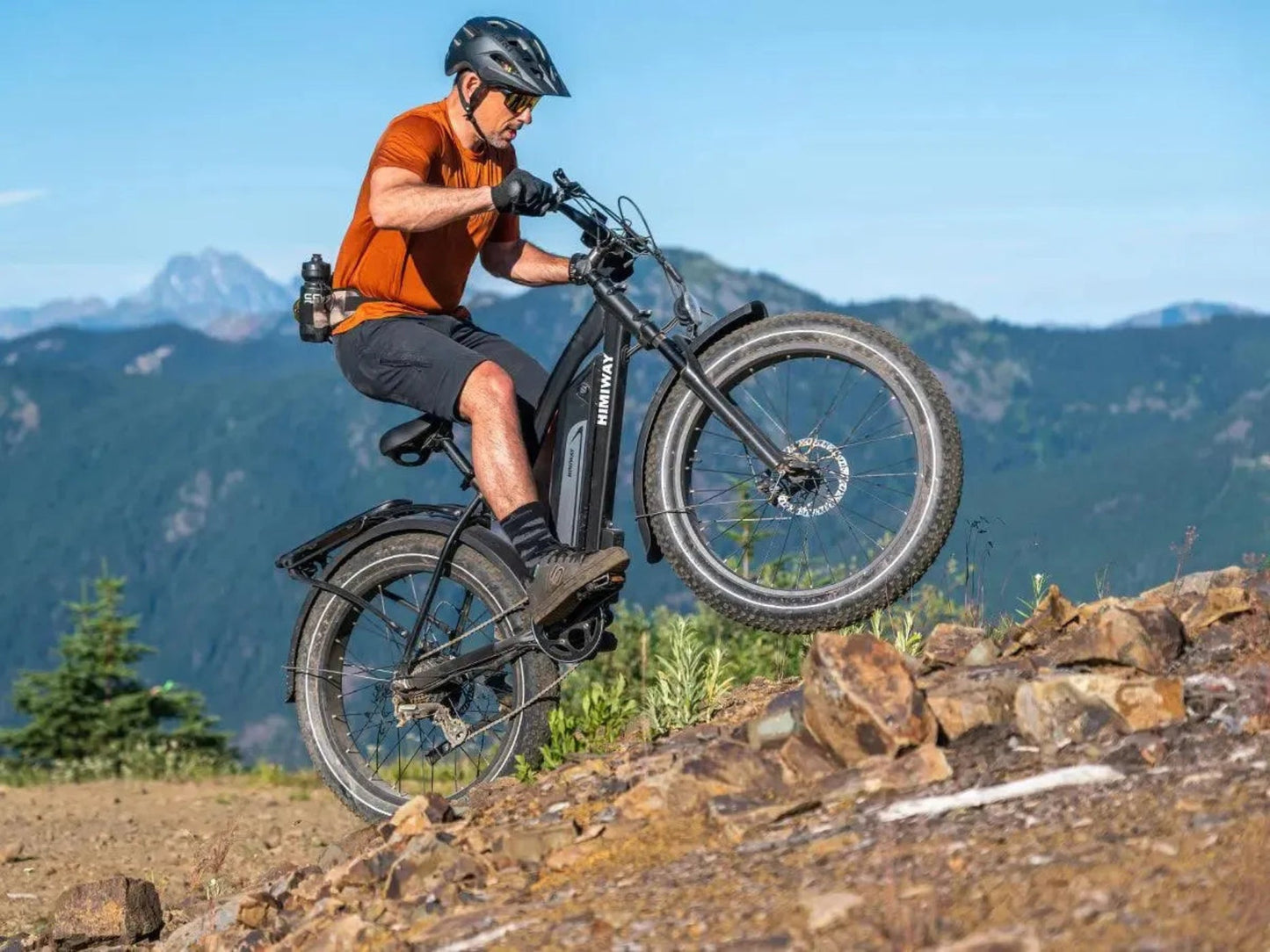 Himiway D3(Cruiser) / Long Range Fat Tire Electric Bike - HIMIWAY-CRUISER-05