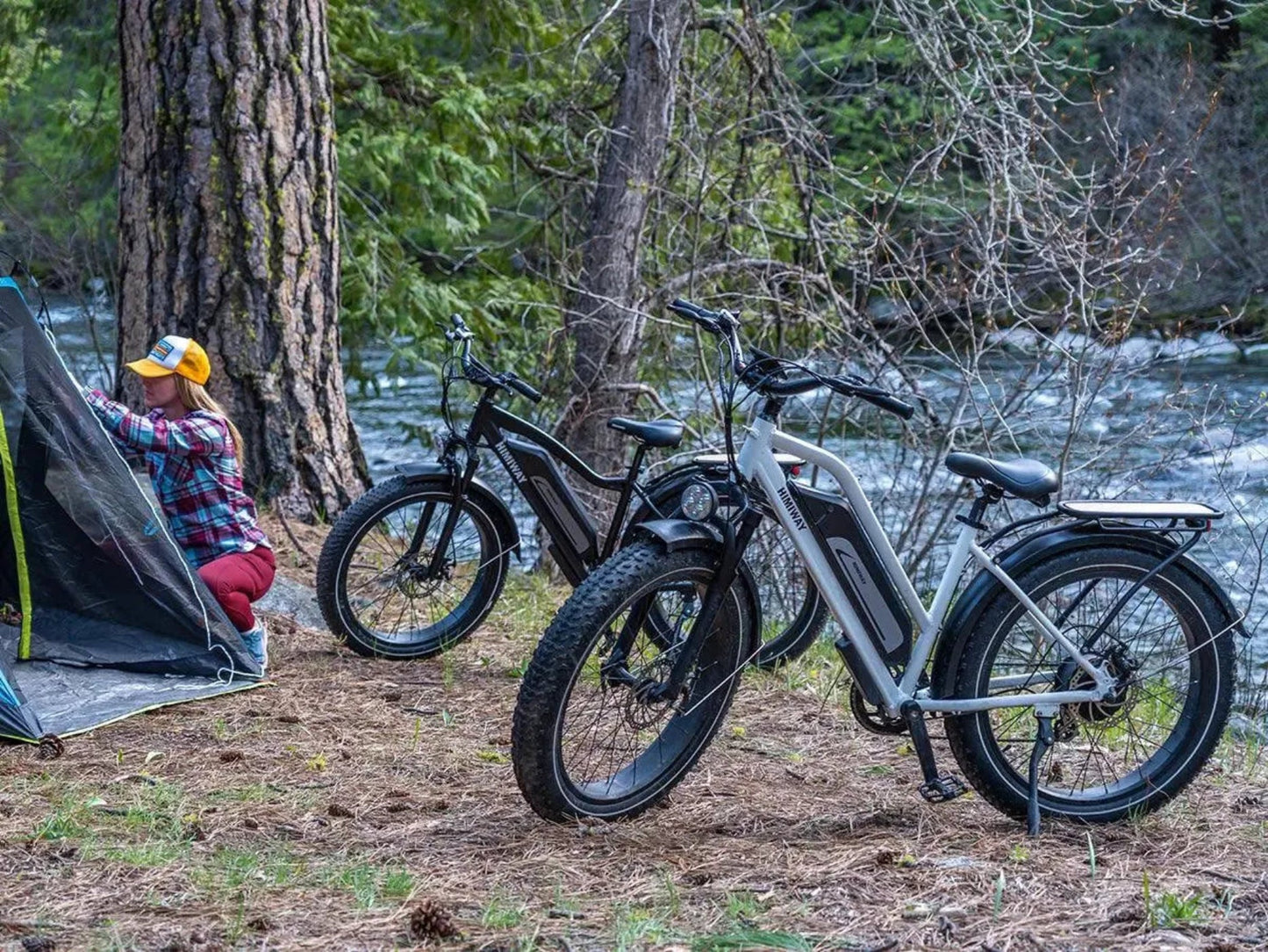 Himiway D3 ST(Cruiser ST) / All Terrain Electric Bike - CRUISER-STEP-THRU-05