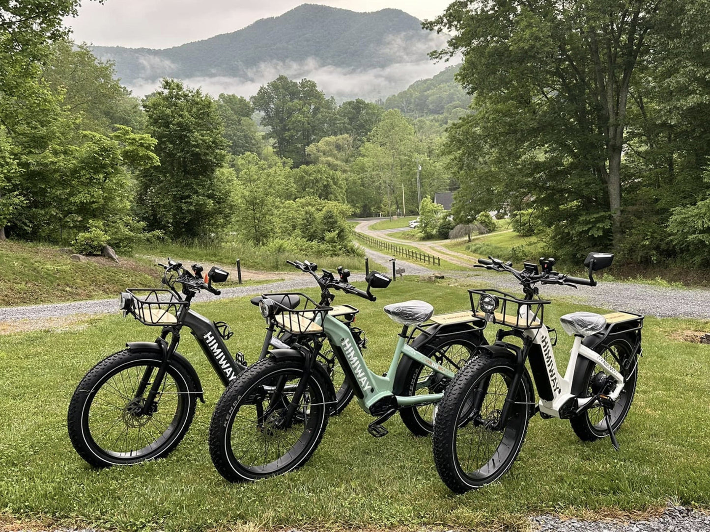 Himiway D5 ST(Zebra ST) / All-terrain Electric Fat Bike - HMW-D5-PW-ST-US-02
