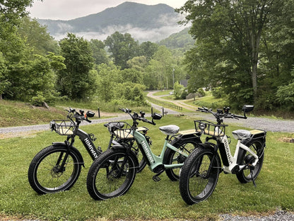 Himiway D5 ST(Zebra ST) / All-terrain Electric Fat Bike - HMW-D5-PW-ST-US-02