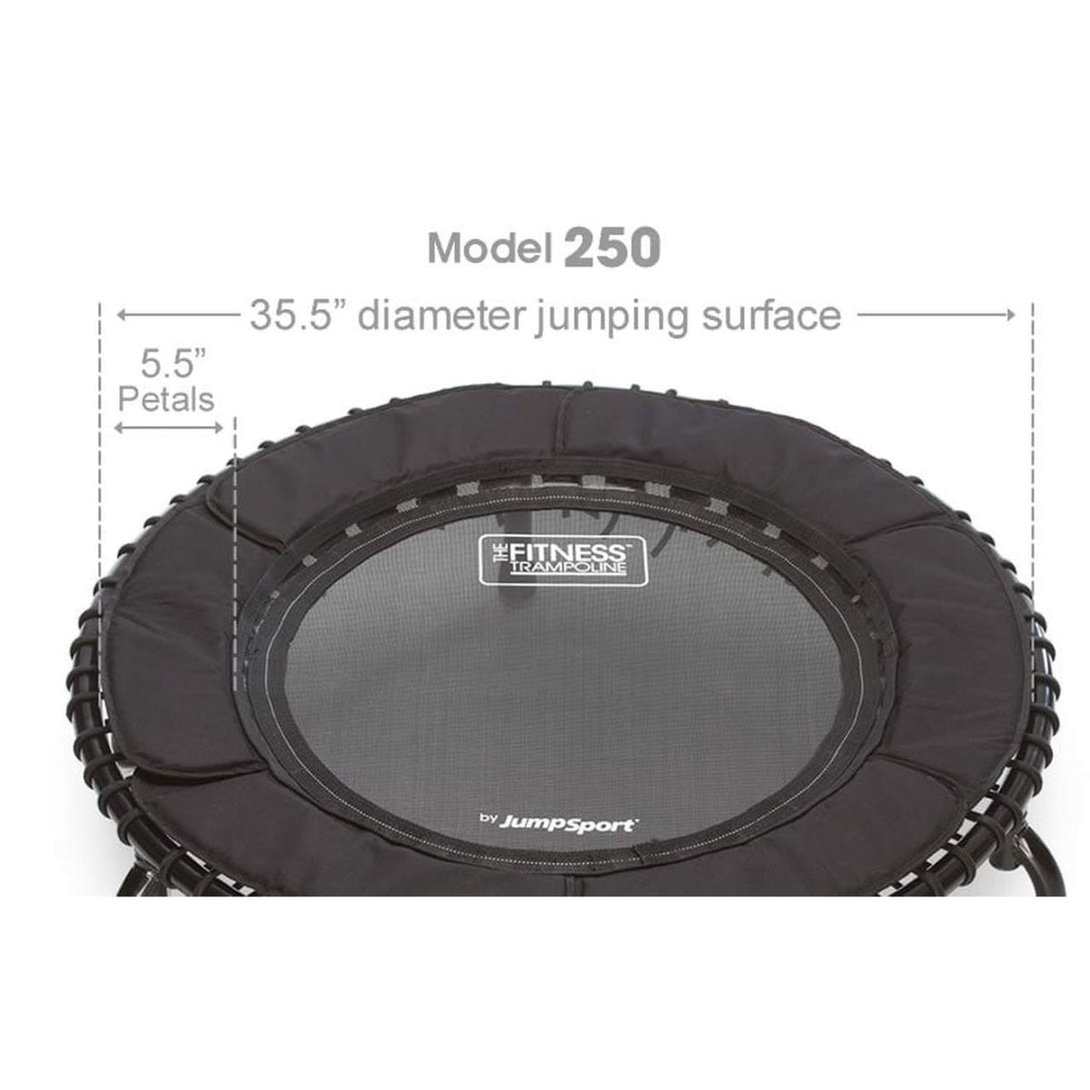 Disc-O-Bed JumpSport 250 Fitness Rebounder Mini Trampoline In Home Cardio Fitness (2 Pack) - 173133