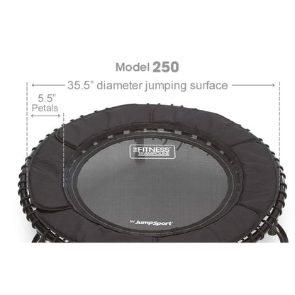 Disc-O-Bed JumpSport 250 Fitness Rebounder Mini Trampoline & Handle Bar Accessory, Black - 250098