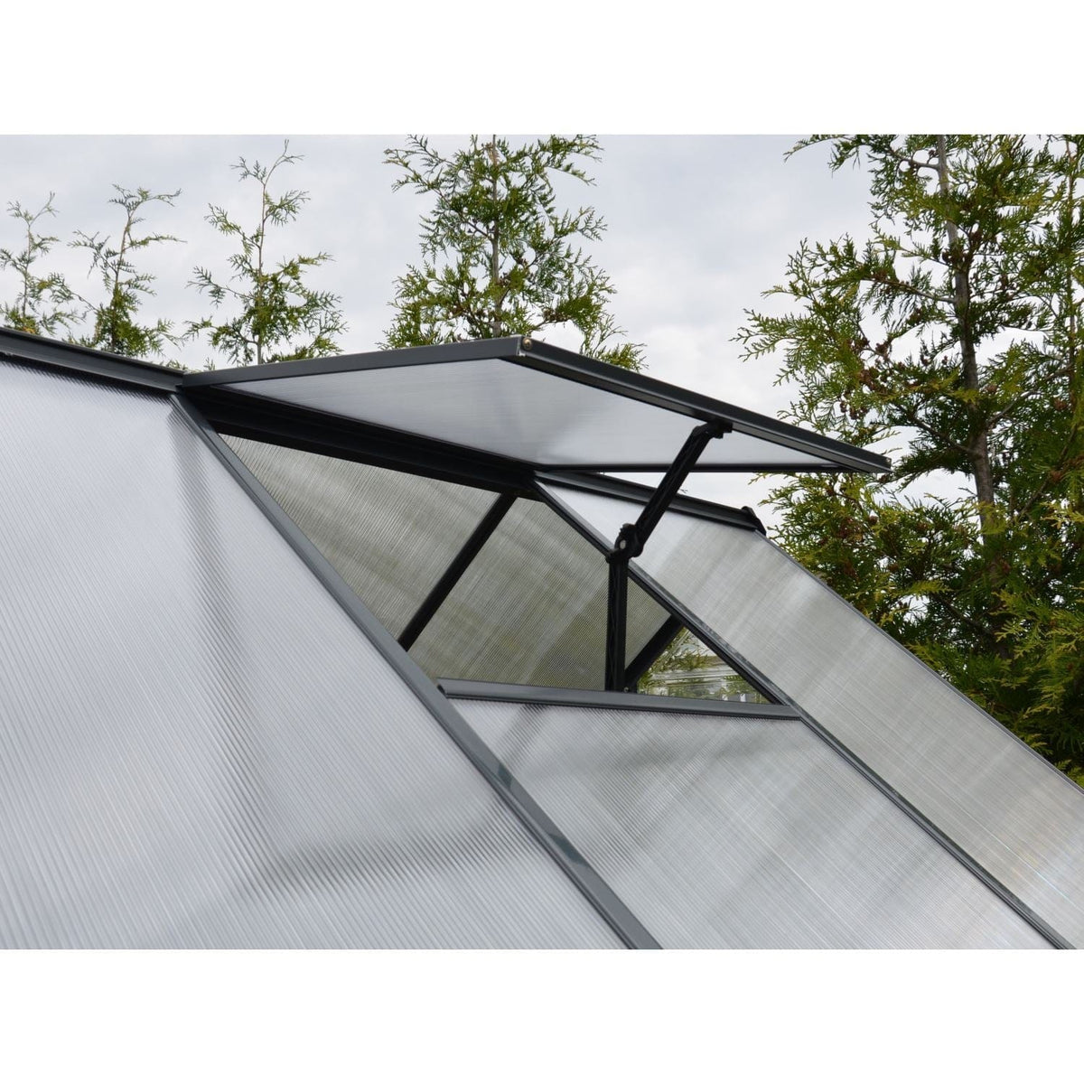 Palram - Canopia | 6x4 Ft Mythos Greenhouse Kit - Gray With 4mm Twin-wall Polycarbonate  - HG5005YGlazing