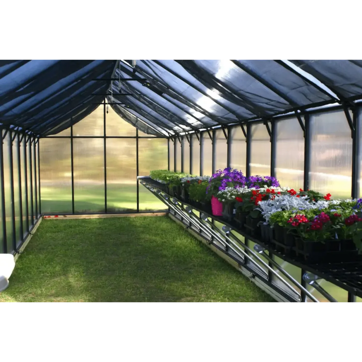 Riverstone Industries MONT Greenhouse Premium - MONT-8-BK-PREMIUM