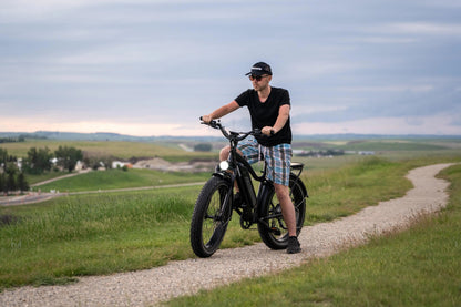 Himiway D3(Cruiser) / Long Range Fat Tire Electric Bike - HIMIWAY-CRUISER-05