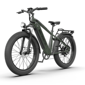 Aostirmotor KING 1000W 52V All-Terrain Fat Tire Electric Bike
