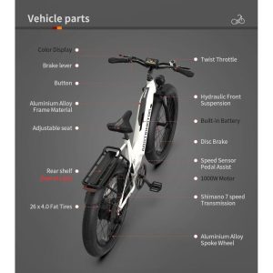 Aostirmotor QUEEN 1000W 52V All Terrain Step-Thru  Fat Tire Electric Bike
