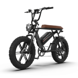 Aostirmotor Storm 750W 48V Fat Tire Electric Bike